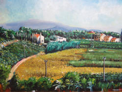 Zwischen Chateauneuf - du - Pape und Courthzon